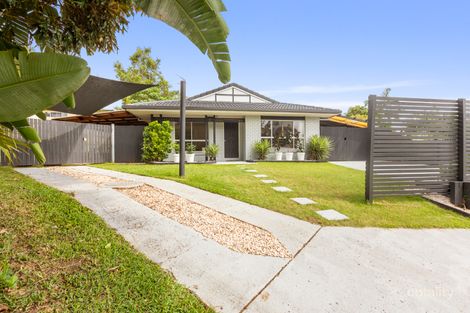 Property photo of 13 Midden Court Bli Bli QLD 4560