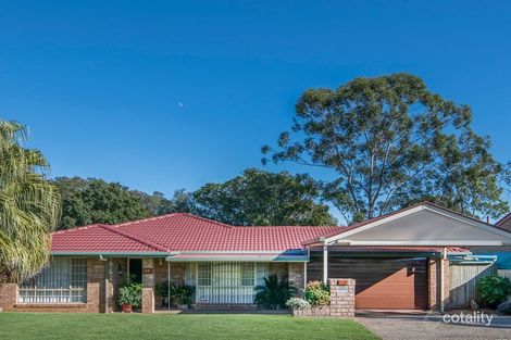 Property photo of 40 Sherry Street Carseldine QLD 4034