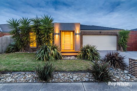 8 Olive Rd, Lynbrook, VIC 3975