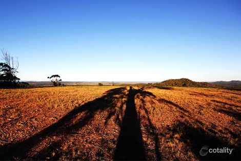 Property photo of 251 Warcons Road Cawarral QLD 4702