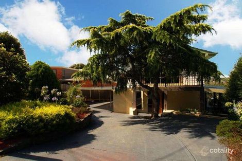 51 New Rd, Oak Park, VIC 3046