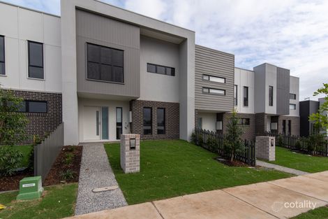 Property photo of 53 Grazier Street Narangba QLD 4504