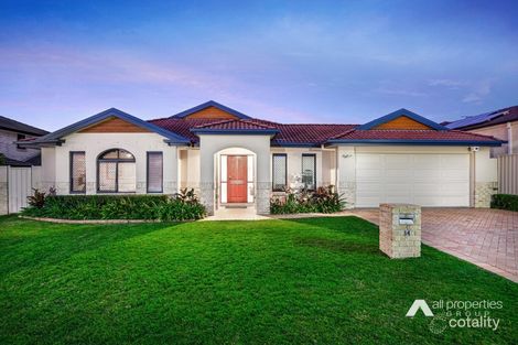 Property photo of 34 Habitat Place Drewvale QLD 4116