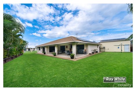 Property photo of 13 Frangipani Court Norman Gardens QLD 4701