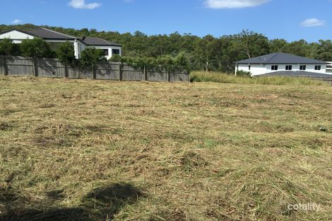 Property photo of 25 Lynette Way Daisy Hill QLD 4127