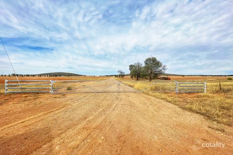 782 Lewes Rd, Weethalle, NSW 2669