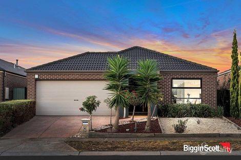 Property photo of 16 Harrington Avenue Tarneit VIC 3029