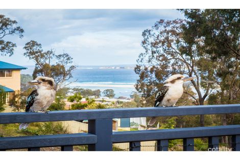 Property photo of 14 Camilla Court Mirador NSW 2548