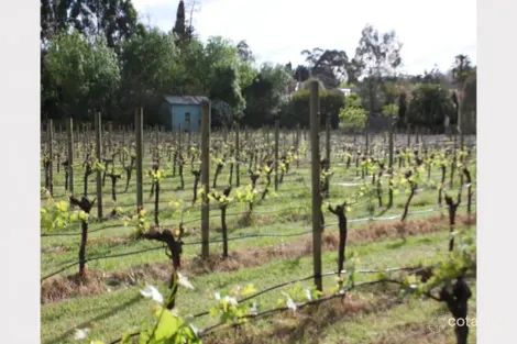 Property photo of 8 Young Street Kew VIC 3101