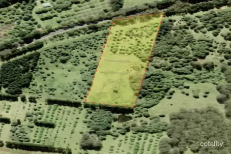 4101 Braidwood Rd, Sassafras, NSW 2622