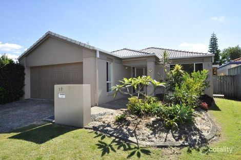 Property photo of 37 Myola Court Coombabah QLD 4216