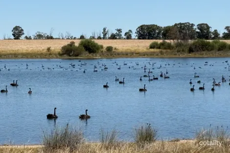 4779 North West Rd, Dandaragan, WA 6507