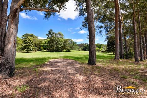 Property photo of 22 Palmerston Crescent Beerwah QLD 4519