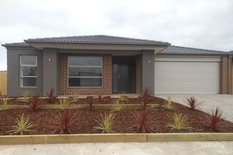 37 Copernicus Cct, Cranbourne West, VIC 3977