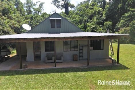 Property photo of 55 Nicole Drive Cape Tribulation QLD 4873