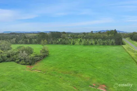Property photo of 44 Lake Barrine Road Malanda QLD 4885