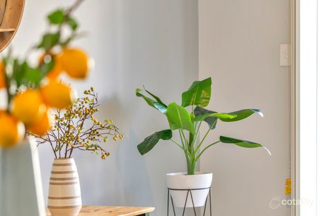 Property photo of 6 Blackler Street Semaphore SA 5019
