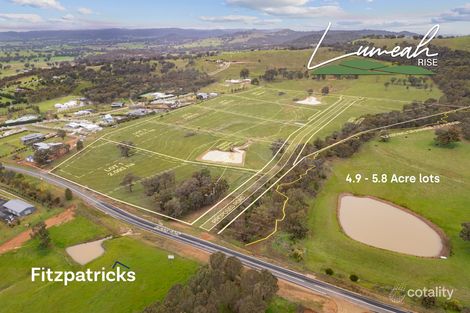 Property photo of 161 Dunns Road Springvale NSW 2650