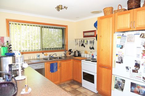 Property photo of 3/7 Heather Place St Helens TAS 7216