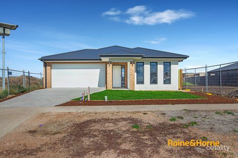 66 Guineas St, Cranbourne East, VIC 3977