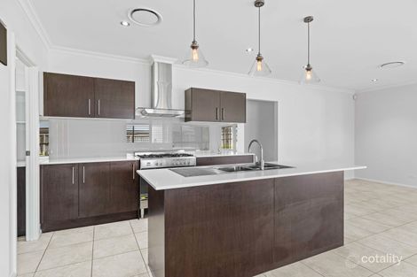 Property photo of 43 Whitewater Street Chisholm NSW 2322
