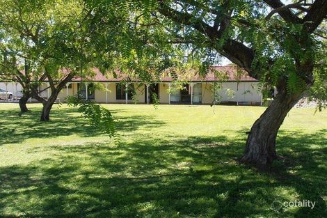 Lot 102 Poplar St, Walloon, QLD 4306