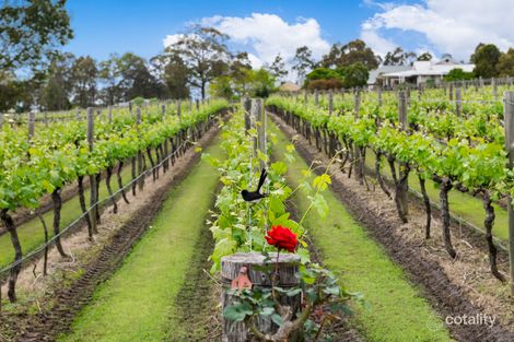 Property photo of LOT 72/2 Oakey Creek Road Pokolbin NSW 2320
