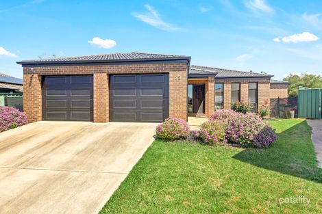 25 Lightwood Dr, Wodonga, VIC 3690