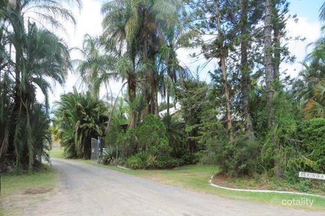 Property photo of 55 King Avenue Willawong QLD 4110