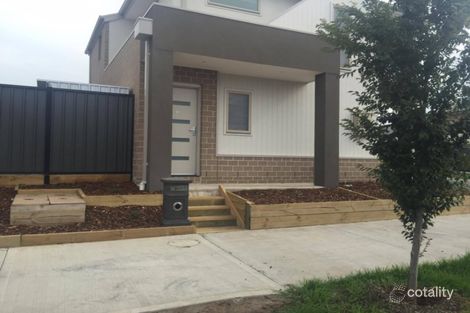 11 Plumbago St, Craigieburn, VIC 3064