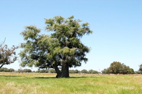 1247 Railway Rd, Boyanup, WA 6237