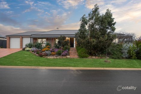 Property photo of 51 Aurora Circuit Meadows SA 5201