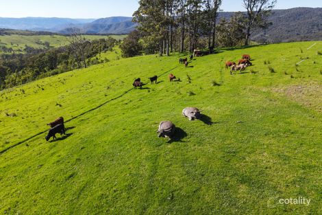 Property photo of 1600 Billirimba Road Tenterfield NSW 2372
