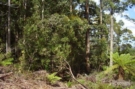 2/44 Lloyds Rd, Franklin, TAS 7113