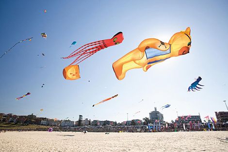 Property photo of 7/48 Edward Street Bondi NSW 2026