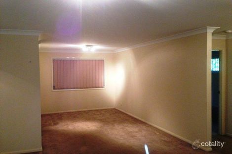 Property photo of 3 Spoonbill Street Inala QLD 4077