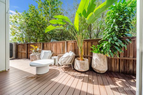 Property photo of 39 Tinnanbar Terrace Maroochydore QLD 4558