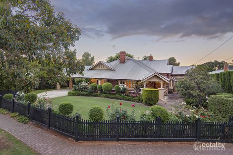 Property photo of 31 Willcox Avenue Prospect SA 5082