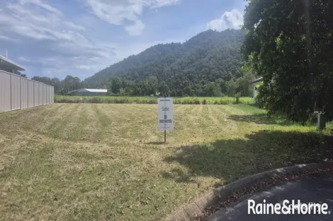 Property photo of 6 Julia Close Wonga Beach QLD 4873