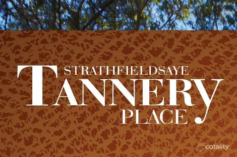 Property photo of 5 Tannery Lane Strathfieldsaye VIC 3551