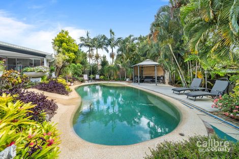 Property photo of 16 Magnolia Place Carseldine QLD 4034