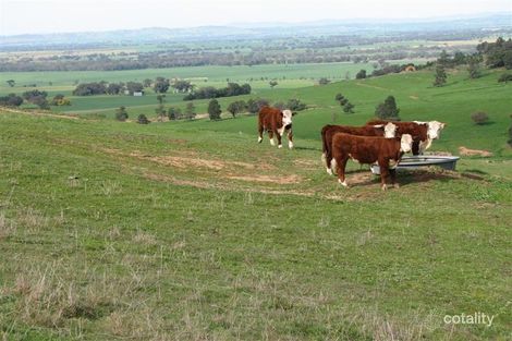 5111 Olympic Hwy, Wattamondara, NSW 2794