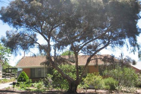 3 Lewis Ave, Tea Tree Gully, SA 5091