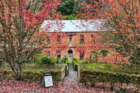 12 Right Hand Branch Rd, Walhalla, VIC 3825