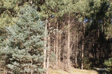 40 Crowdens Rd, Western Creek, TAS 7304