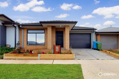 Property photo of 31 Remedy Drive Clyde VIC 3978
