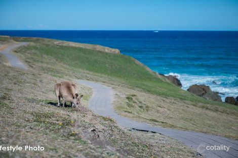 Property photo of 9 Nature Drive Emerald Beach NSW 2456