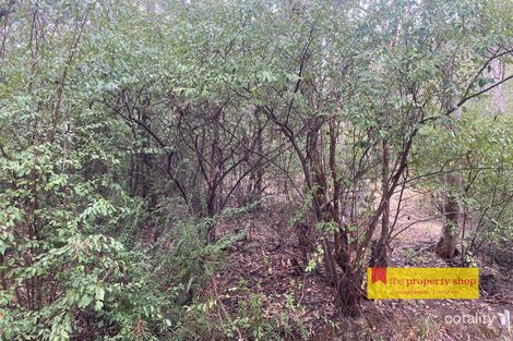 Property photo of 34 Mountain Street Charbon NSW 2848