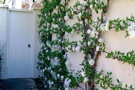 Property photo of 116 Empire Circuit Yarralumla ACT 2600