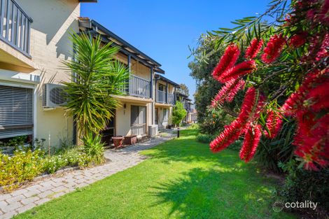 Property photo of 4/785 Karrinyup Road Balcatta WA 6021